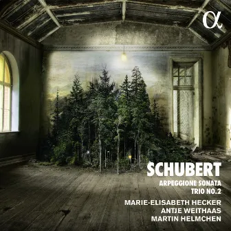 Schubert: Arpeggione Sonata & Trio No. 2 by Antje Weithaas