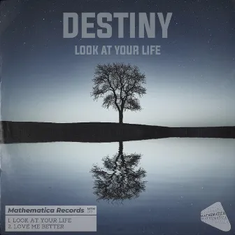 Look At Your Life by Destiny