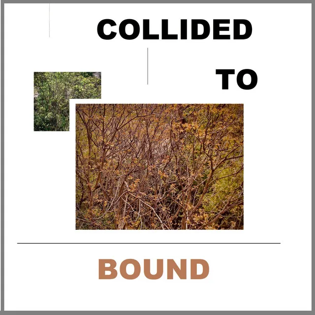 Collided To Bound