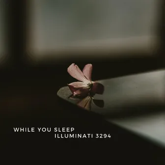 While You Sleep by illuminati 3294