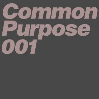 Common Purpose 001 by Fundamental Interaction