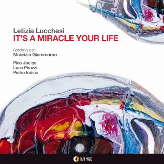 It's a Miracle Your Life by Letizia Lucchesi