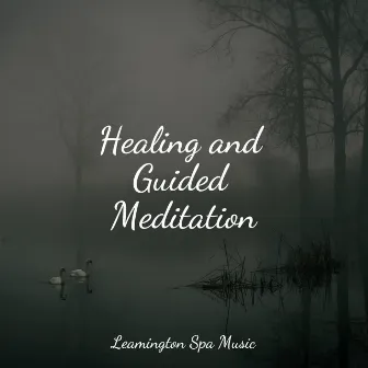 Healing and Guided Meditation by Sounds Of Rain & Thunder Storms