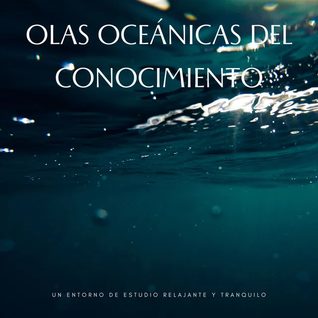 Oasis Sereno De Conocimiento Oceánico