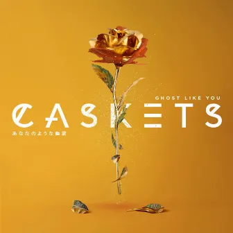 Ghost Like You by Caskets