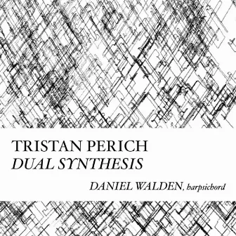 Dual Synthesis by Tristan Perich