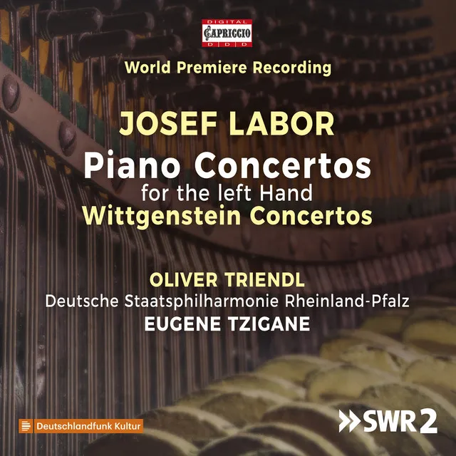 Piano Concerto for the Left Hand No. 1: III. Var. 3