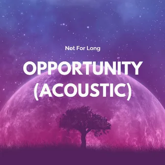 Opportunity (Acoustic) by Not For Long