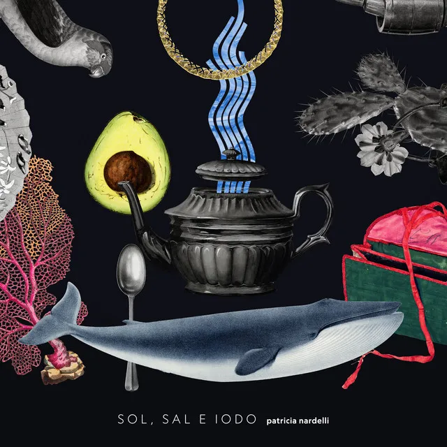 Sol Sal e Iodo