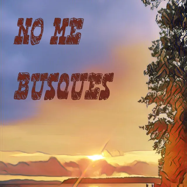 No Me Busques