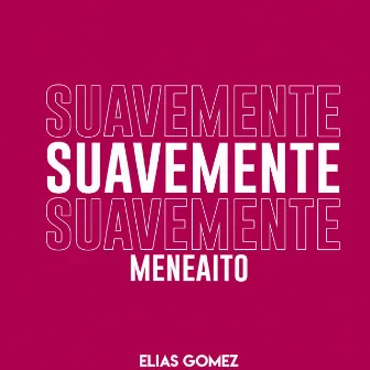 Suavemente Meneaito (Remix) by EstiloRemix