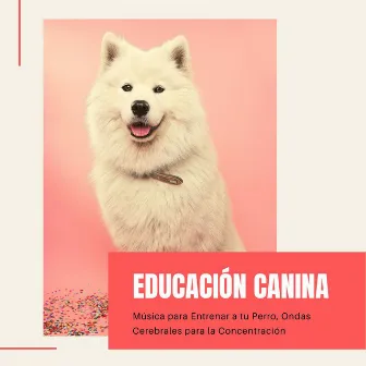 Educación Canina: Música para Entrenar a tu Perro, Ondas Cerebrales para la Concentración by Mascotas Amor Club