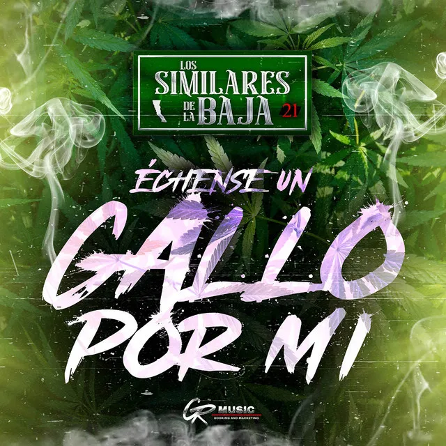 Échense un Gallo Por Mi