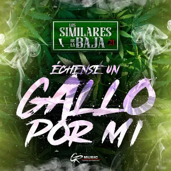 Échense un Gallo Por Mi by Los Similares de la Baja