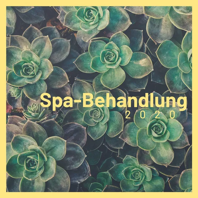 Spa-Behandlung 2020: die entspannendste Musik für Wellness, Spa, Massage, Meditation