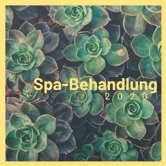 Spa-Behandlung 2020: die entspannendste Musik für Wellness, Spa, Massage, Meditation by Chinesische Musik Akademie