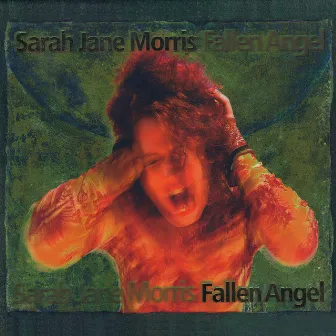 Fallen Angel by Sarah Jane Morris