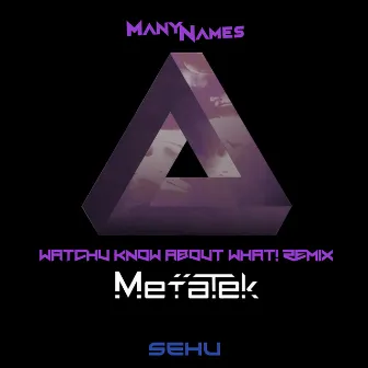 Watchu Know About What! (MetaTek Remix) by ManyNames