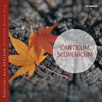 Canticum slovenicum by 