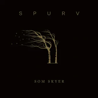 Som Skyer by Spurv