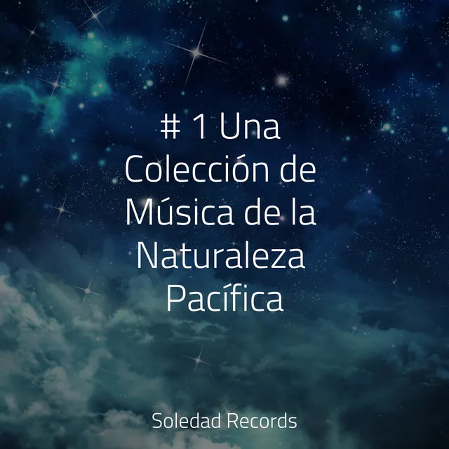 # 1 Una Colección de Música de la Naturaleza Pacífica