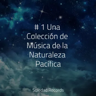 # 1 Una Colección de Música de la Naturaleza Pacífica by Chill Out con Duende