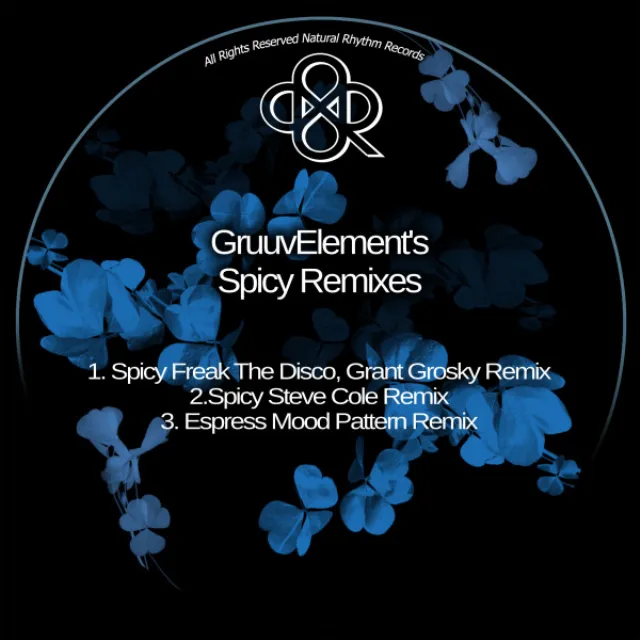 Spicy - Freak The Disco & Grant Grosky Remix