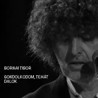 Gondolkodom, tehát dalok by Tibor Bornai