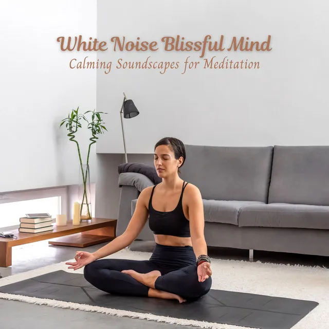 White Noise Blissful Mind: Calming Soundscapes for Meditation