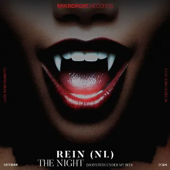 The Night EP by Rein (NL)