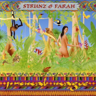 Primal Magic by Strunz & Farah