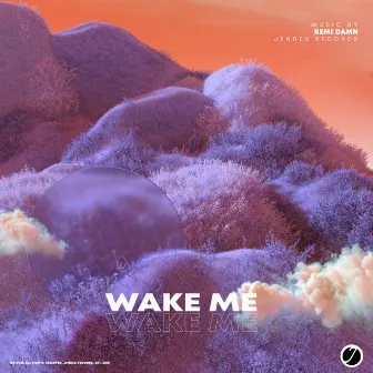 Wake Me by Remi Damn