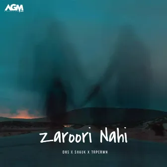 Zaroori Nahi by TRPCRWN