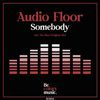 Somebody (Radio Mix) by Audio Floor