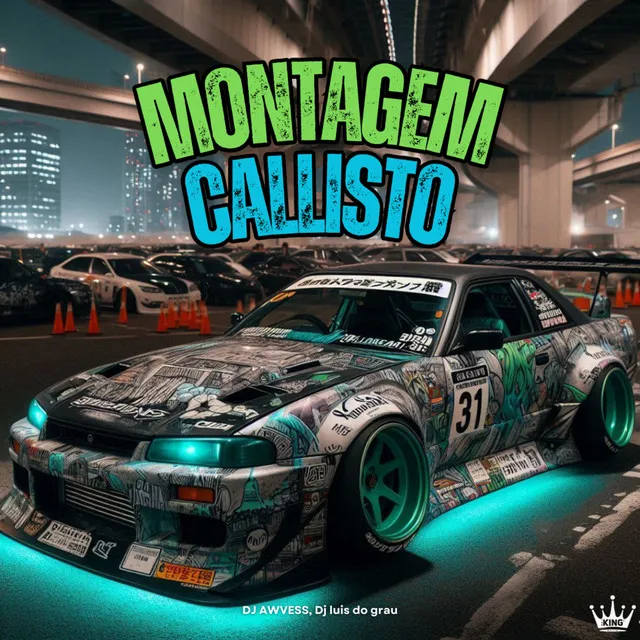 Montagem Callisto