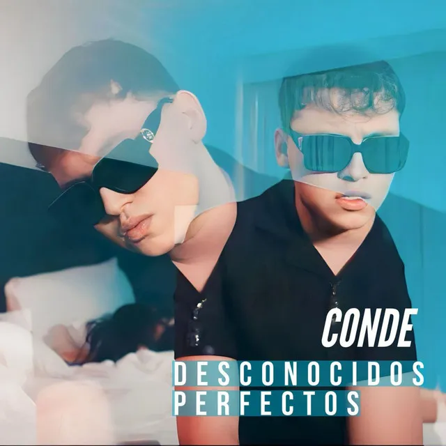 Desconocidos Perfectos