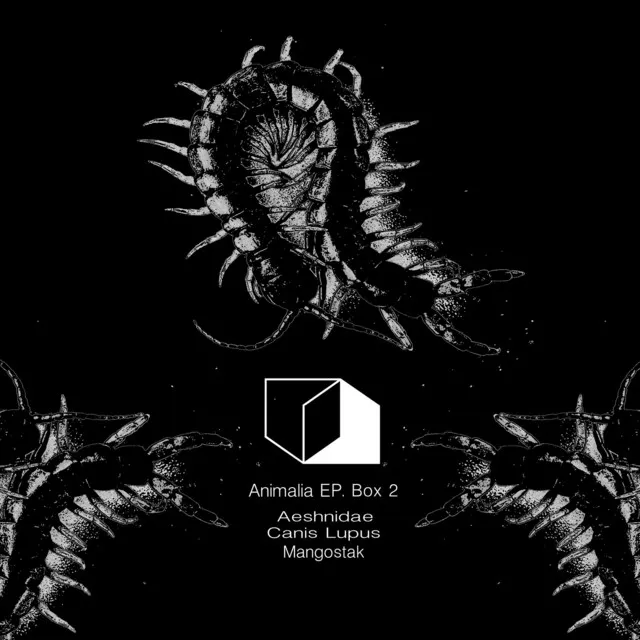 Animalia Ep Box 2