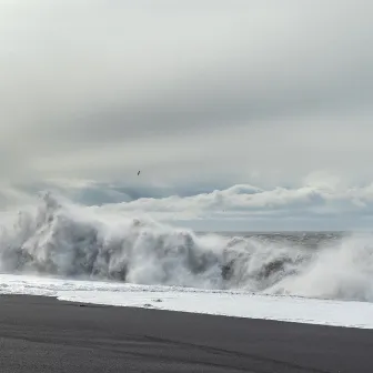 The Black Sand by Warmth