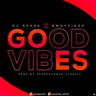 GOOD VIBES by Bwoy Finex