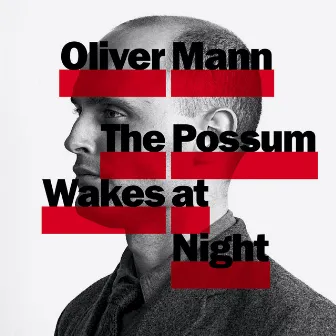 The Possum Wakes at Night by Oliver Mann