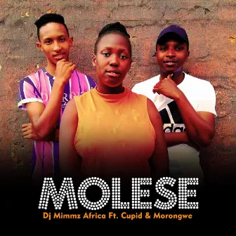 Molese by DJ Mimmz Africa