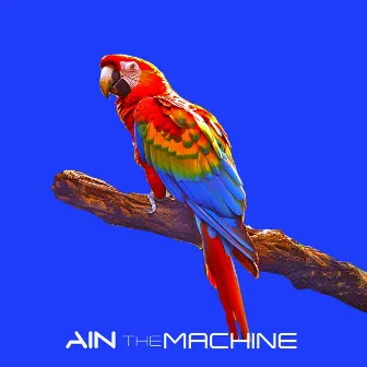 Push The Brazilian Groove by Ain TheMachine