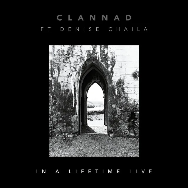 In a Lifetime (feat. Denise Chaila) [Live]