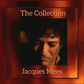 The Collection by Jacques Mees