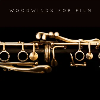 Woodwinds for Film by Matthias Deger