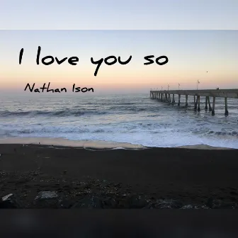 I Love You So by Nathan Ison