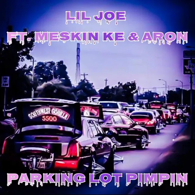 Parkin Lot Pimpin