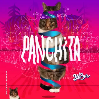 Panchita by Los Yoryis