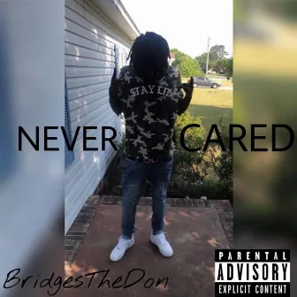 Never Cared by BridgesTheDon