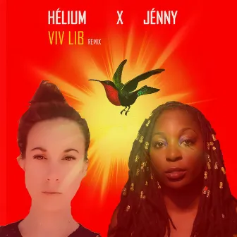 Viv lib (Remix) by Jenny